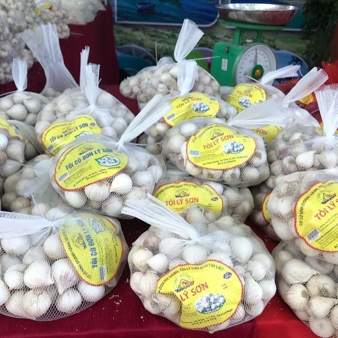 Packing room — 20 kg mesh bags, 10 kg cartons, 3 kg retail bags to buyer specification