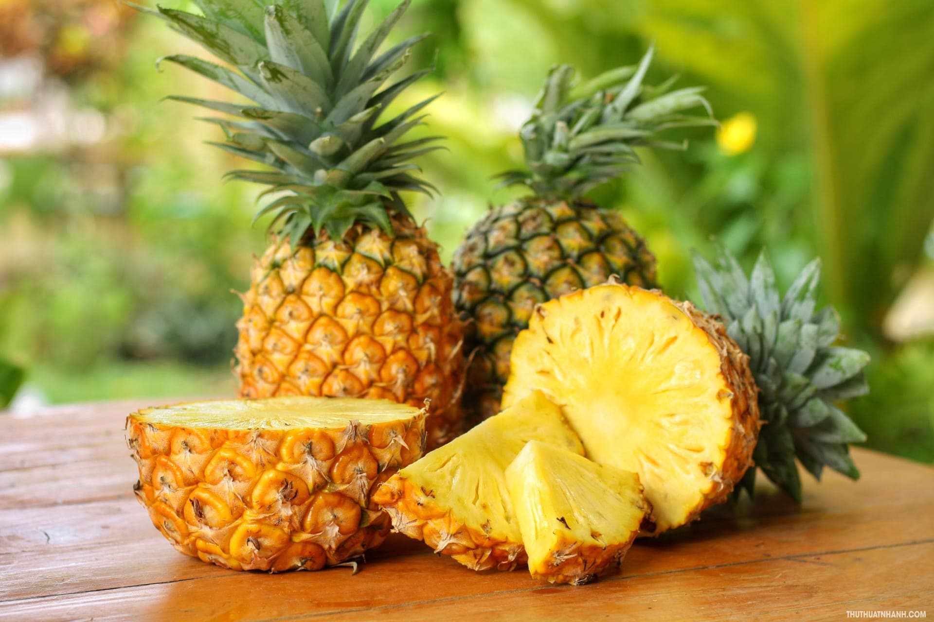 Fresh Pineapple — MD2