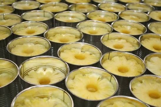 Canned Pineapple