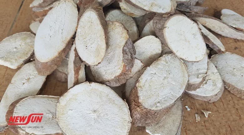 Sun-drying yard — chips spread for natural drying to moisture ≤14%