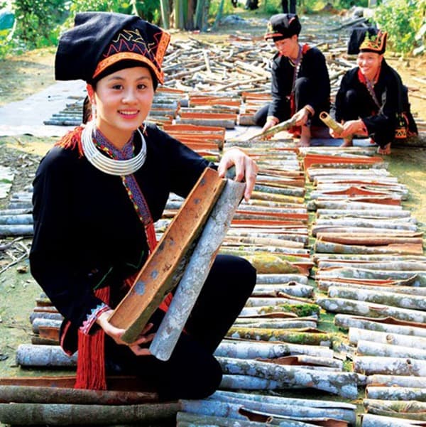 Sun-drying and hand-rolling into quills — graded by bark thickness and oil content