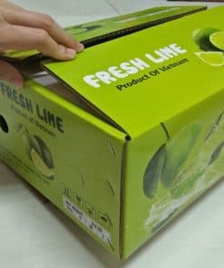 Cold-chain packing in 4.5 kg cartons — pre-cooled facility