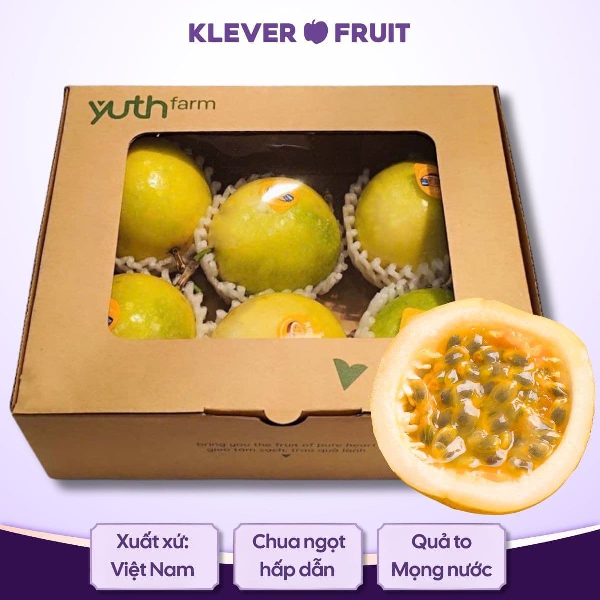 Cold-chain packing at 6–8°C — individual foam net per fruit, 5 kg foam box for EU air routes